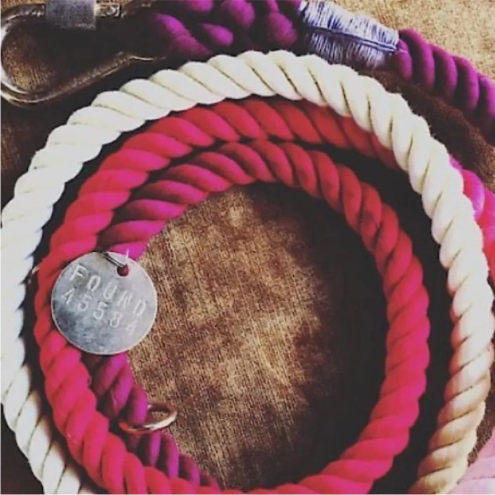 NWT Found My Animal Adjustable Ombre Rope Dog Leash in Magenta Size Medium